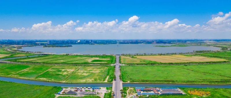 臨港WLA科學(xué)社區(qū)│三思智慧綜合桿照亮未來(lái)“最強(qiáng)大腦”聚集地