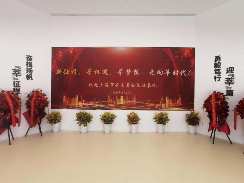 三思,智慧顯示,助力臨港,莘?？萍紙@,人才體系建設